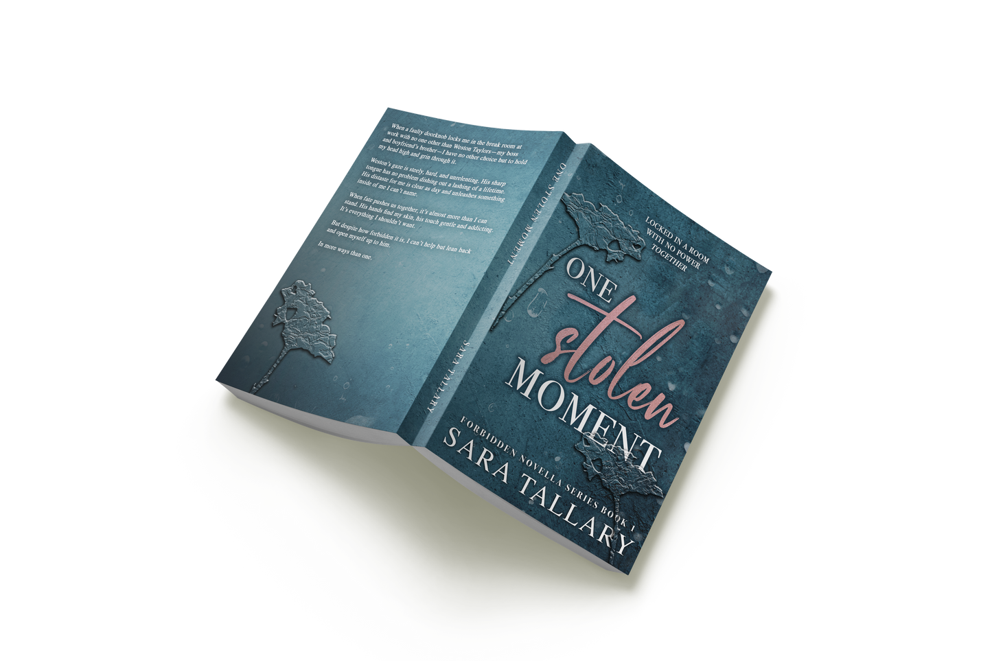One Stolen Moment Paperback - PREORDER*